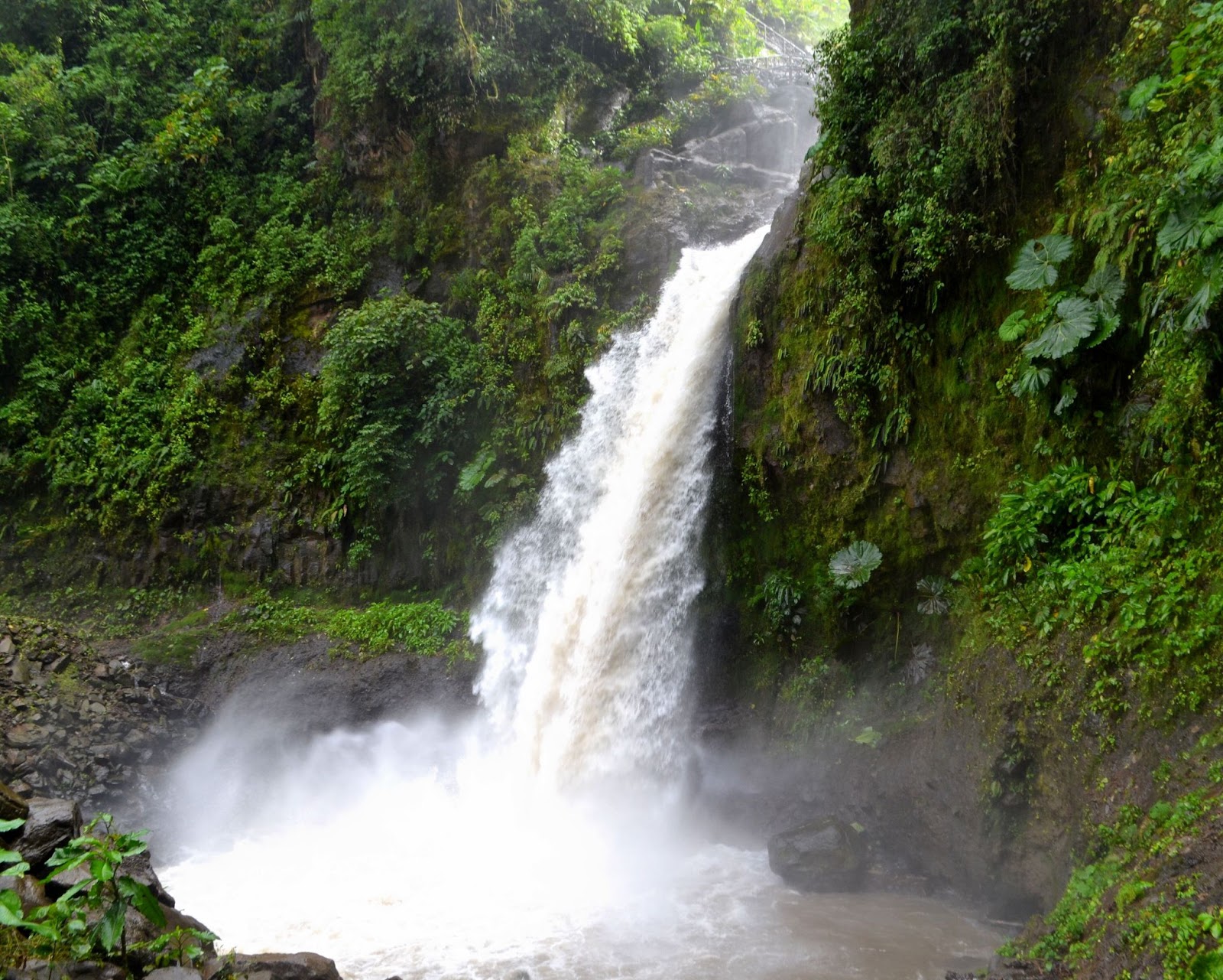 A waterfall surrounded by greenery.