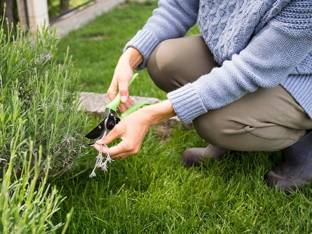 woman cutting some plants in her garden