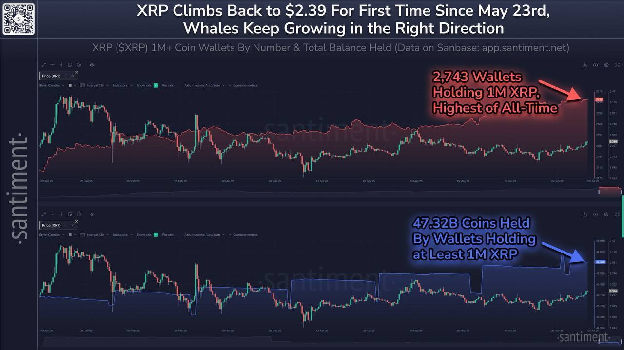 XRP Price Reclaims $3 Level Again – Is $4 Coming in Next 24 Hours?