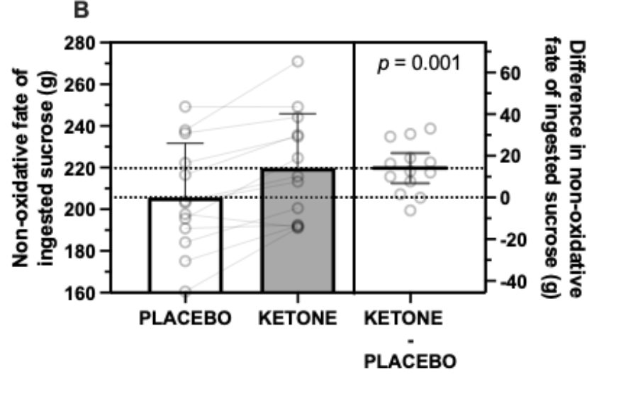 Are Ketones the Missing Piece in Your Recovery Plan? 3