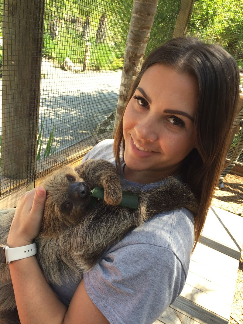 A woman holding a two-toed sloth at Wild Florida’s Gator Park.