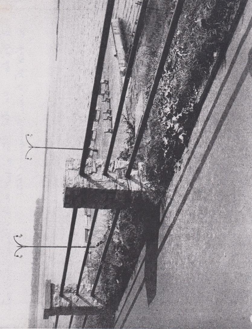 Une image contenant noir et blanc, croquis, dessin, art

Le contenu généré par l’IA peut être incorrect.