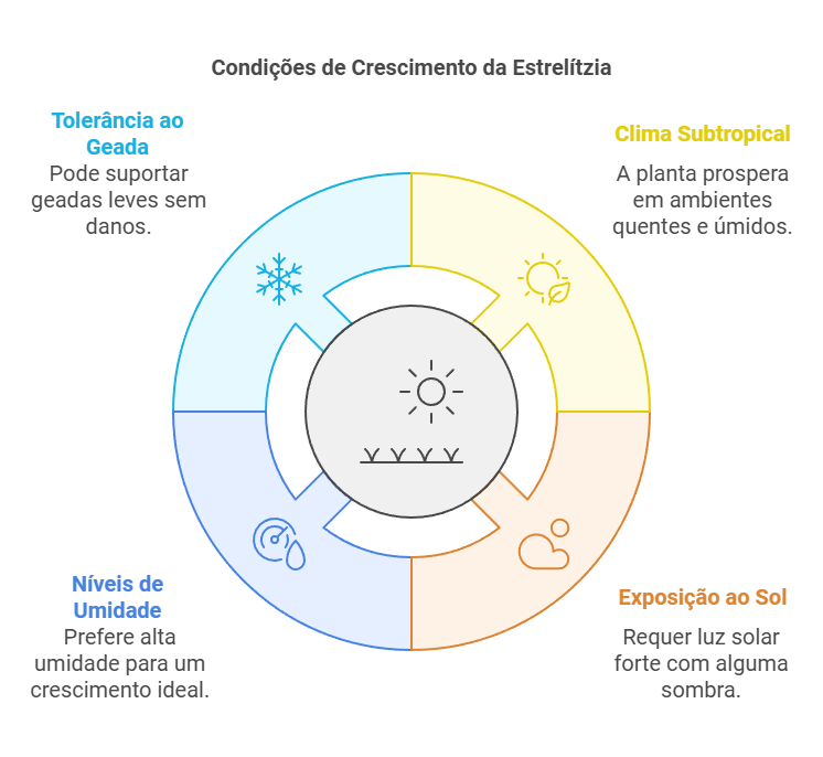 Condições Ideais de Cultivo e Clima