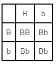 NCERT Solutions for Class 10 Chapter 9 Image 3