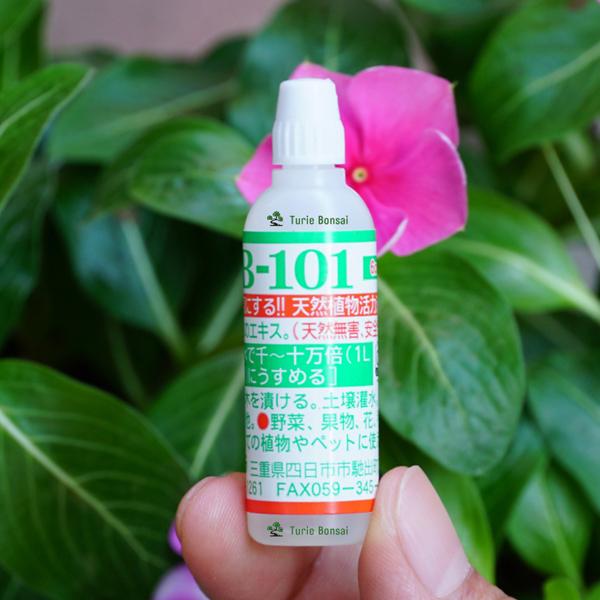 Thuốc kích rễ cực mạnh HB-101