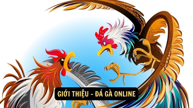 Giới thiệu - đá gà online