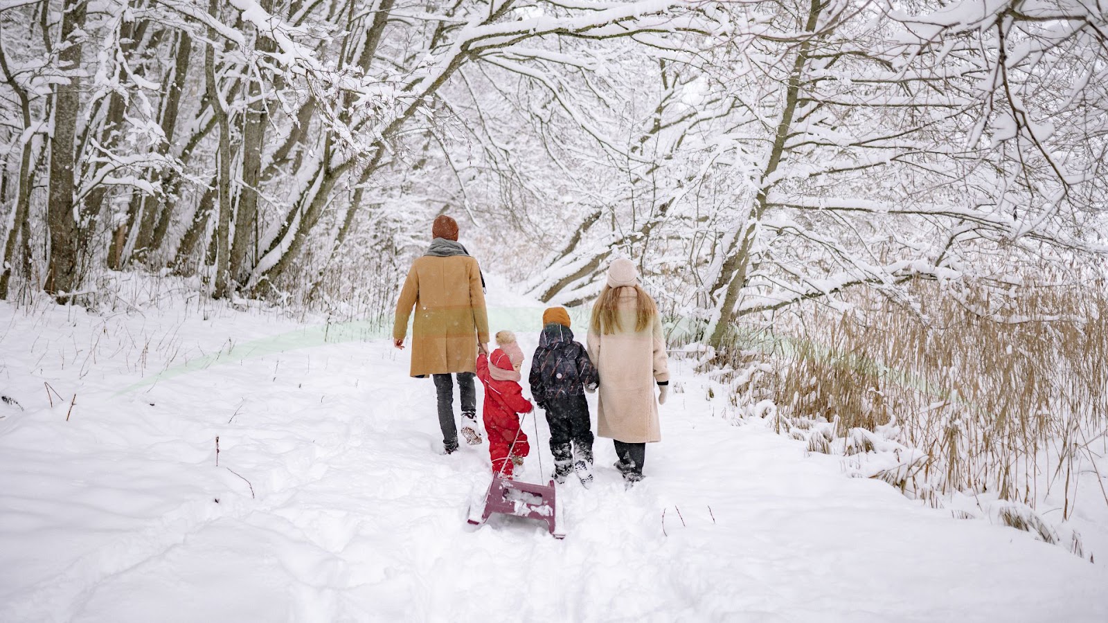 Winter Family Photo Ideas images 5