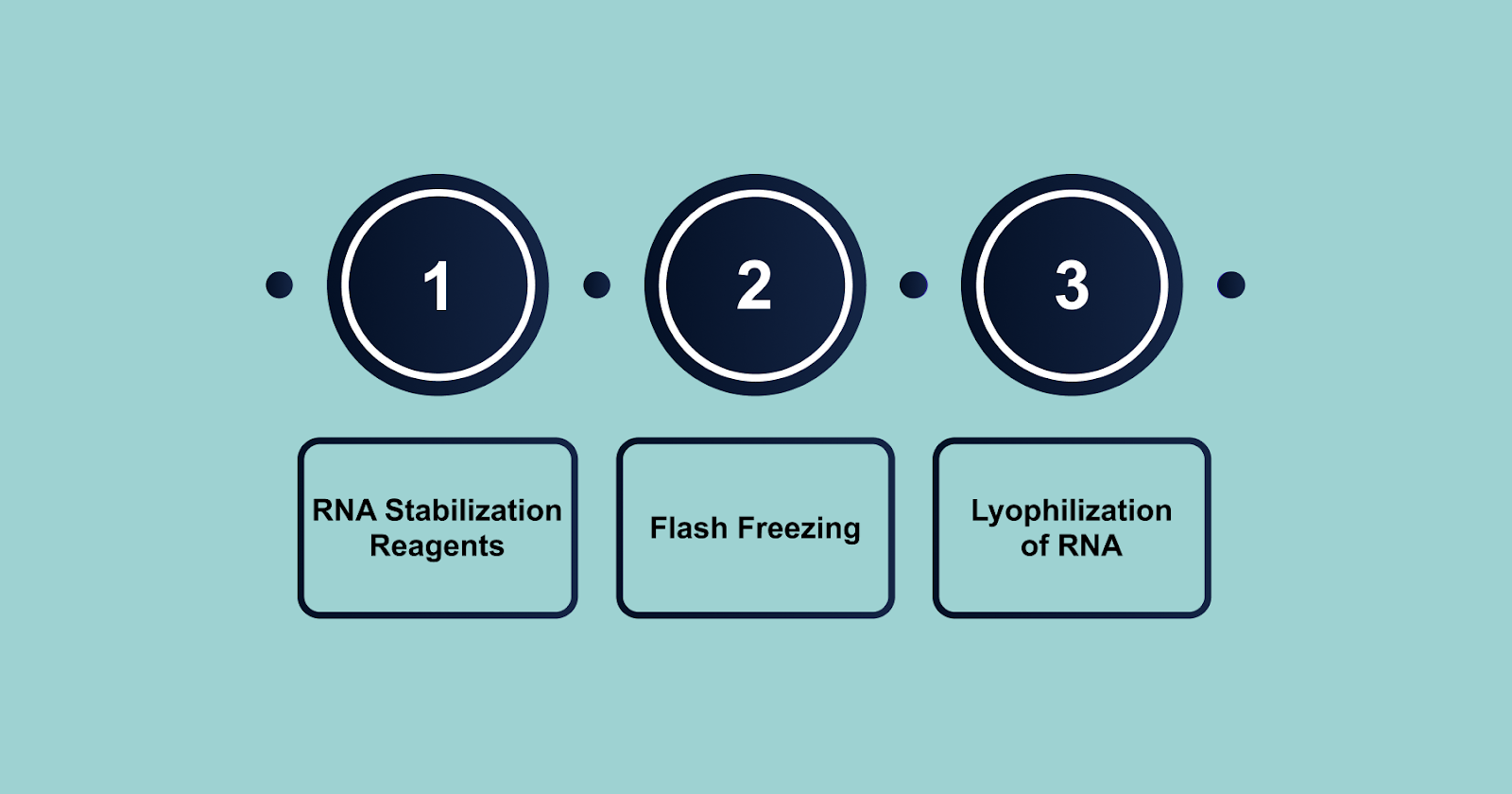 Advanced RNA Preservation Techniques
