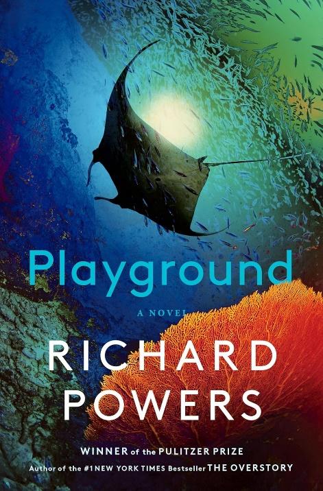 Playground book cover