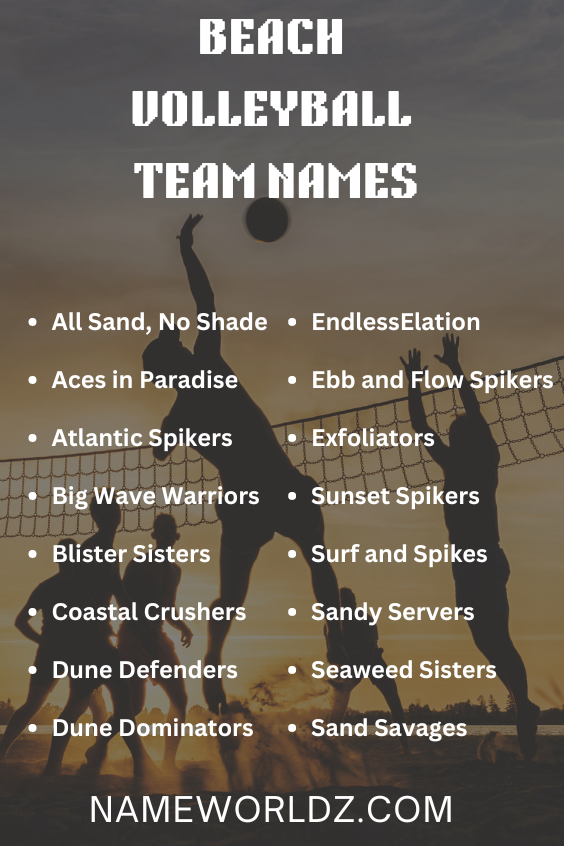 Beach Volleyball team names