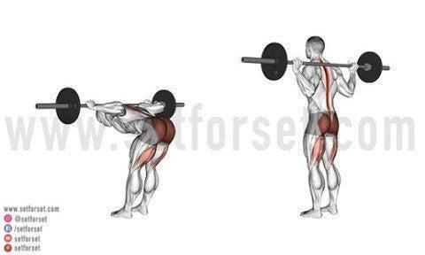 best erector spinae strengthening exercises