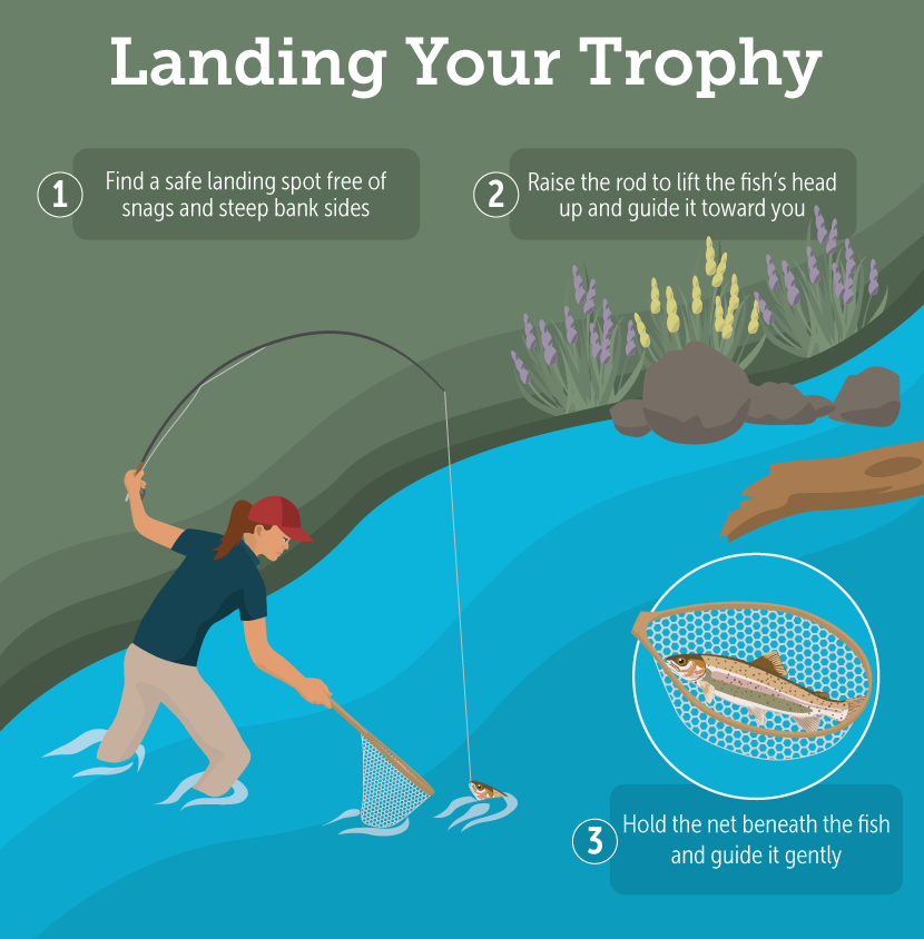 How to Land a Fish: Expert Tips for a Successful Catch