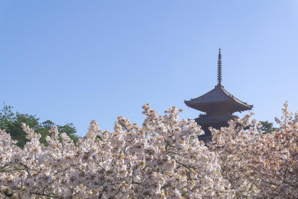 A pagoda with cherry blossoms

AI-generated content may be incorrect.