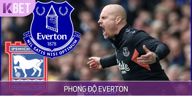minh hoạ phong độ đội everton