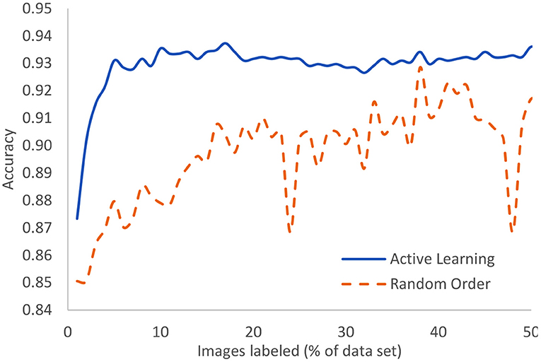 Contrast between active learning technique vs random order technique for labeling X-rays. The active learning technique achieved approx. 93% accuracy