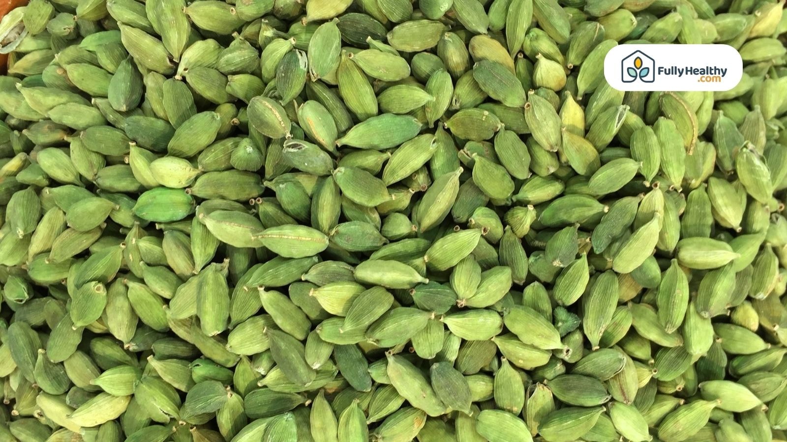 Pile of fresh green cardamom pods with FullyHealthy logo