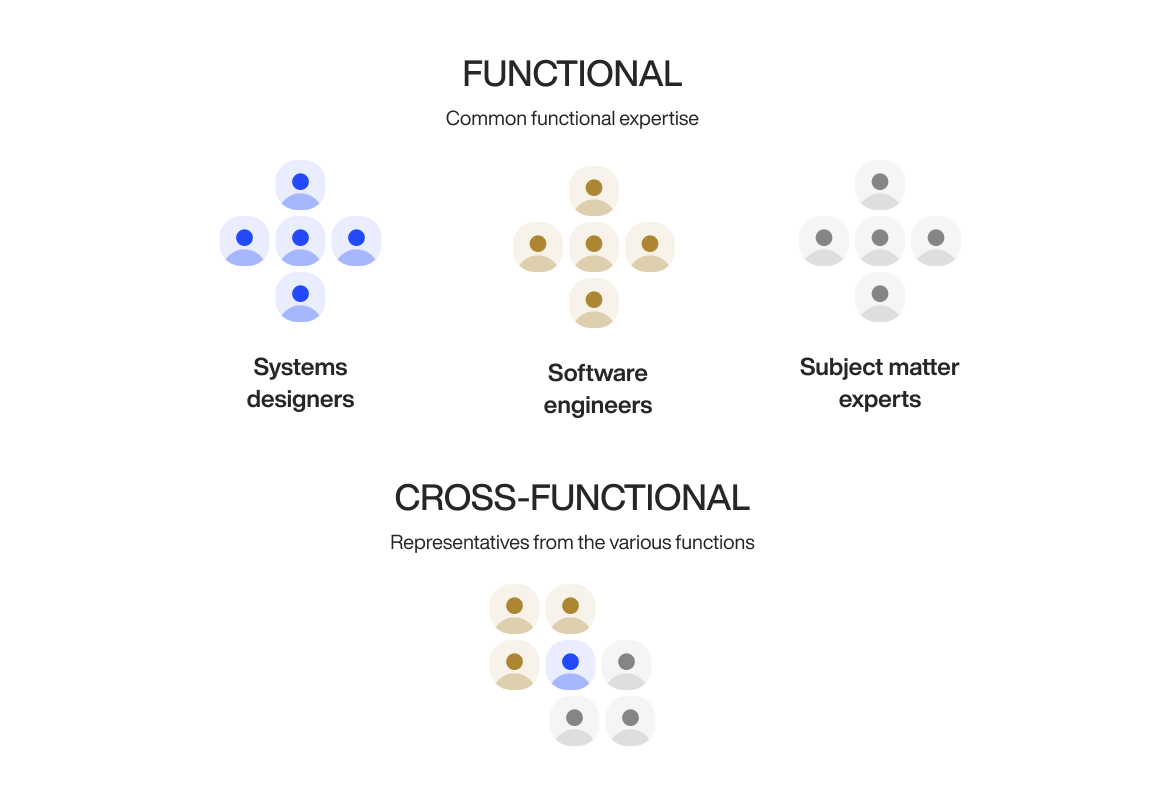 Functional vs cross-functional team