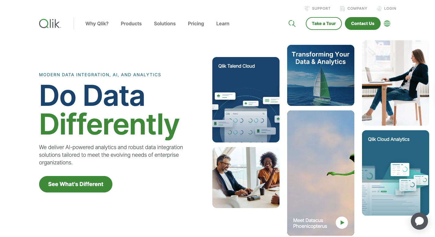 Qlik: Business Intelligence Tool