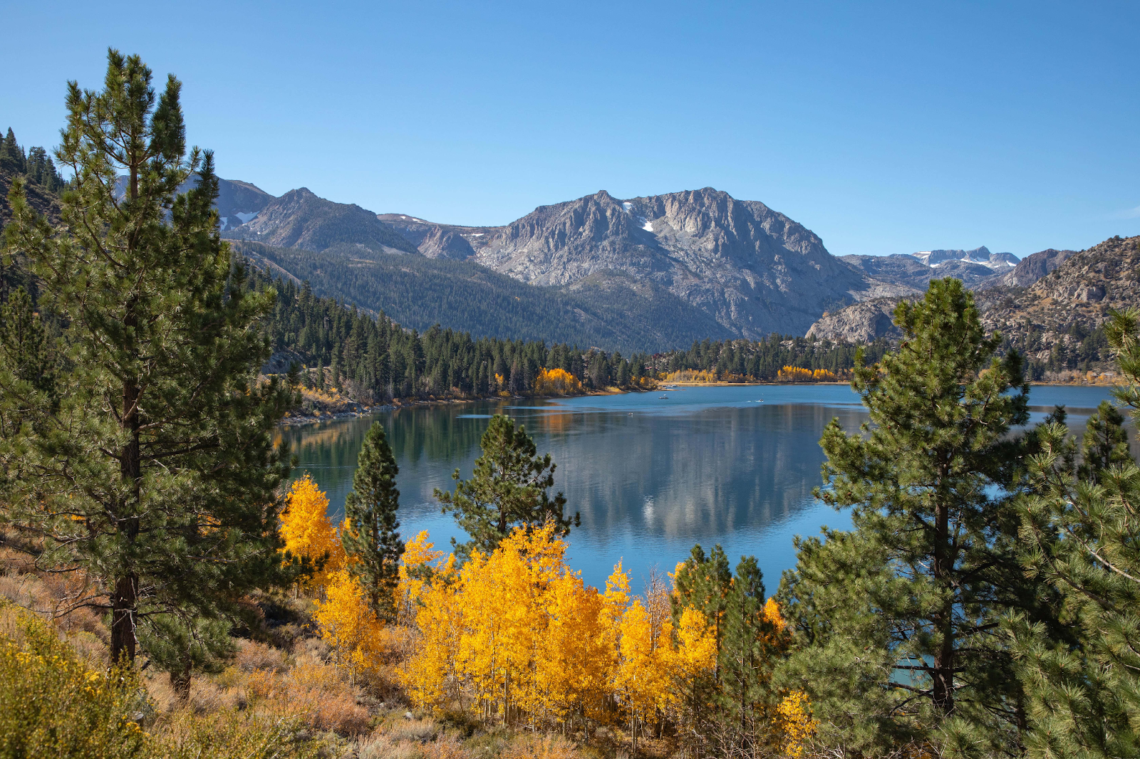 mammoth lakes fall colors 