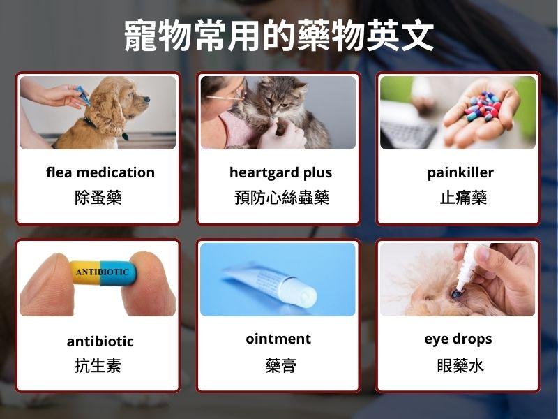 一張含有 文字, 螢幕擷取畫面 的圖片

自動產生的描述