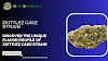 Discover the Unique Flavor Profile of Zkittlez Cake Strain