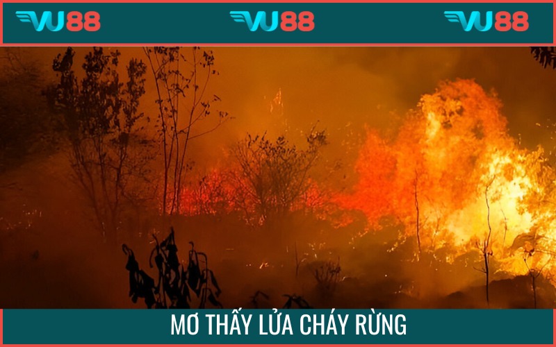Mộng mị thấy cháy rừng