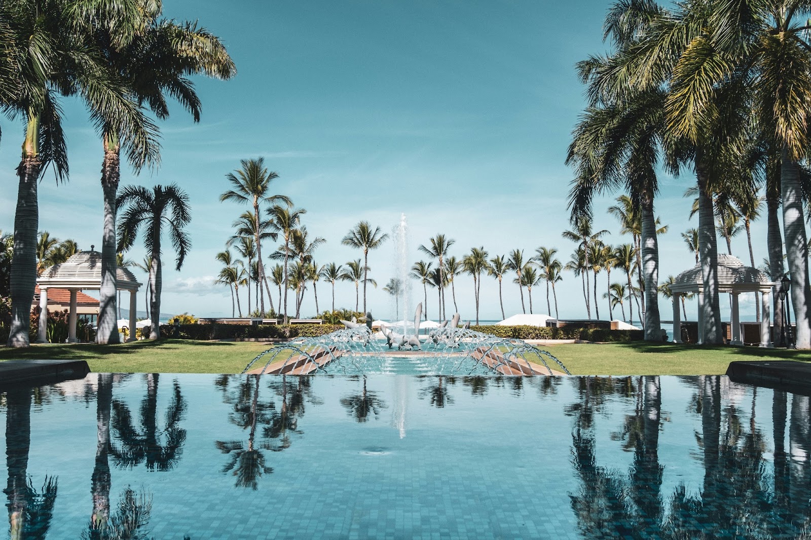  An elegant infinity pool at a five-star Wailea resort overlooking the ocean.