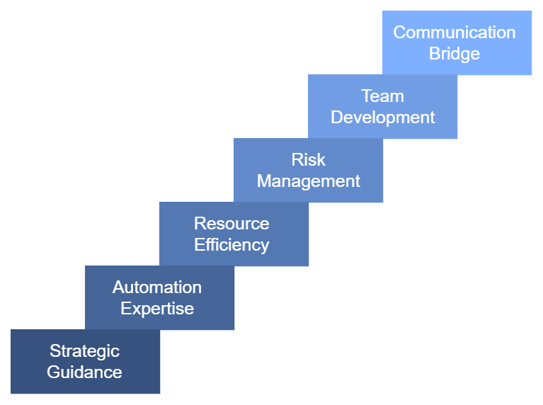 Image related to interim CTO services.
