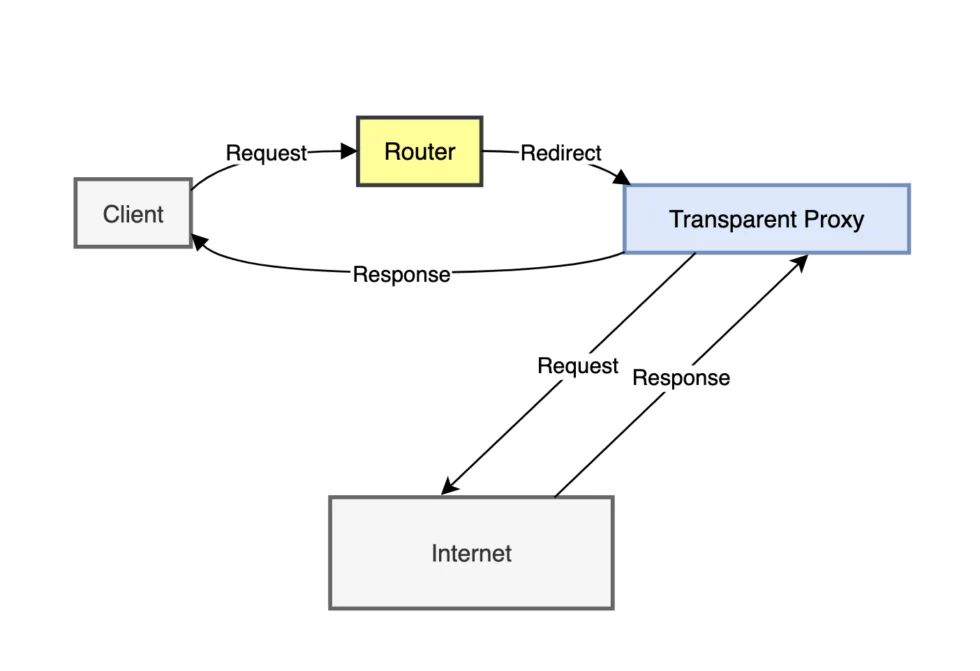 transparent proxy