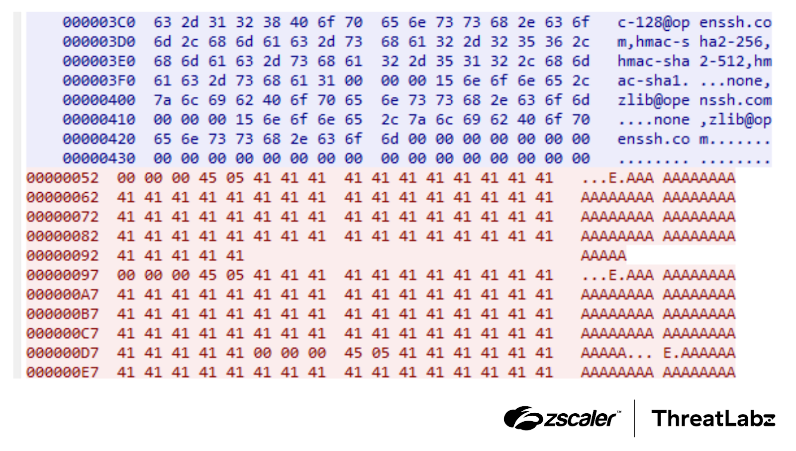 Figure 2: An example of a malformed request containing arbitrary bytes to force the SSH server to perform heap allocations targeting CVE-2024-6387.