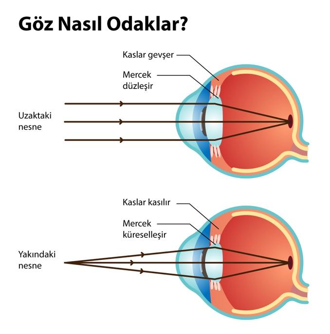 diyagram, ekran görüntüsü, daire, tasarım içeren bir resim
Açıklama otomatik olarak oluşturuldu