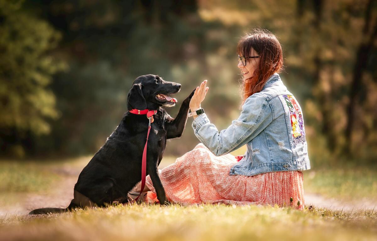 A woman playing with her dog in the park