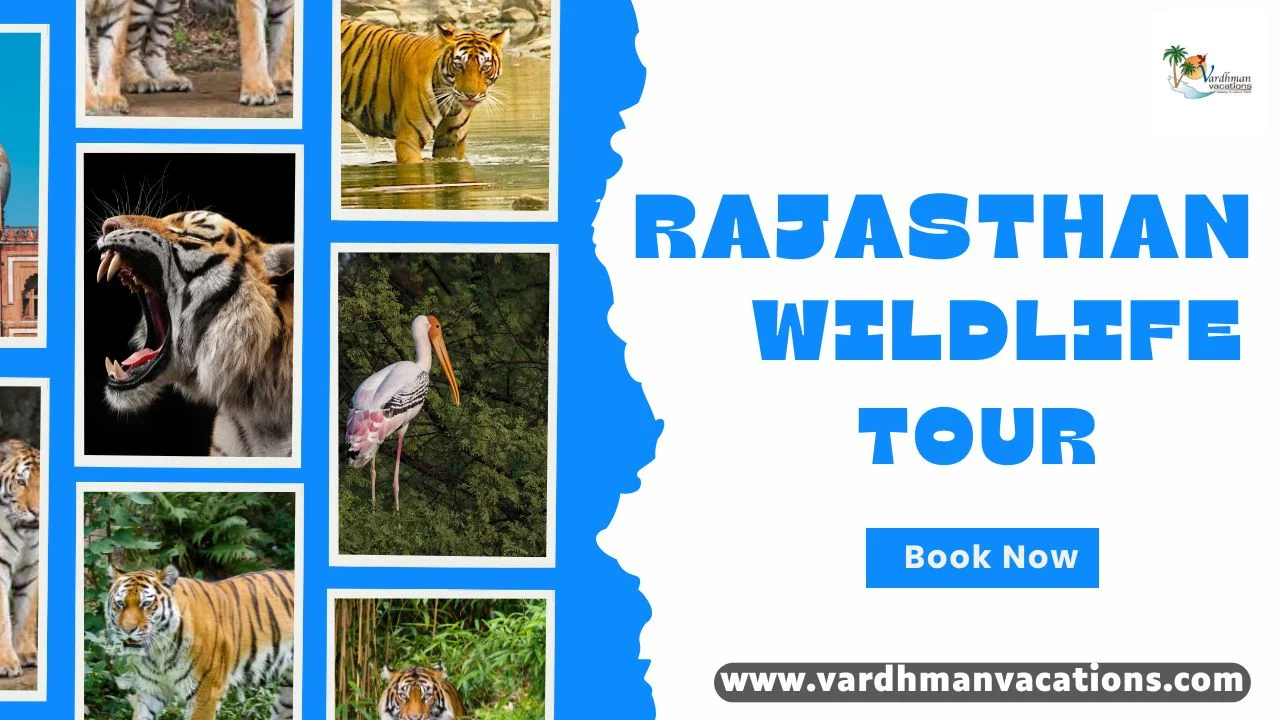 Rajasthan Wildlife Tour