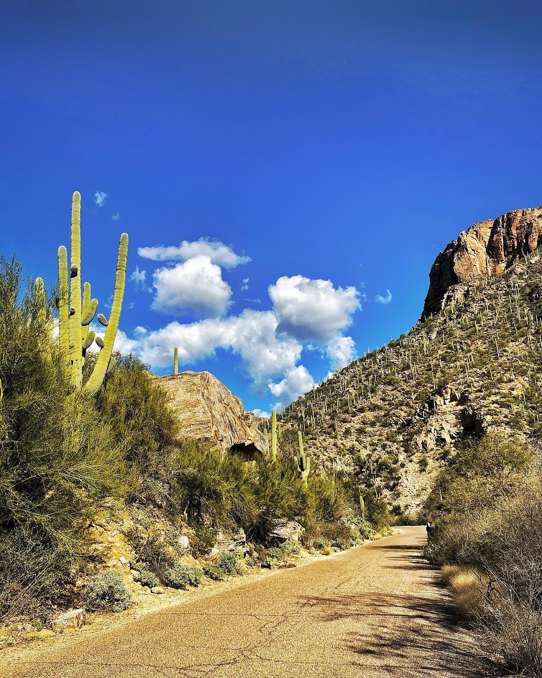 Sabino Canyon