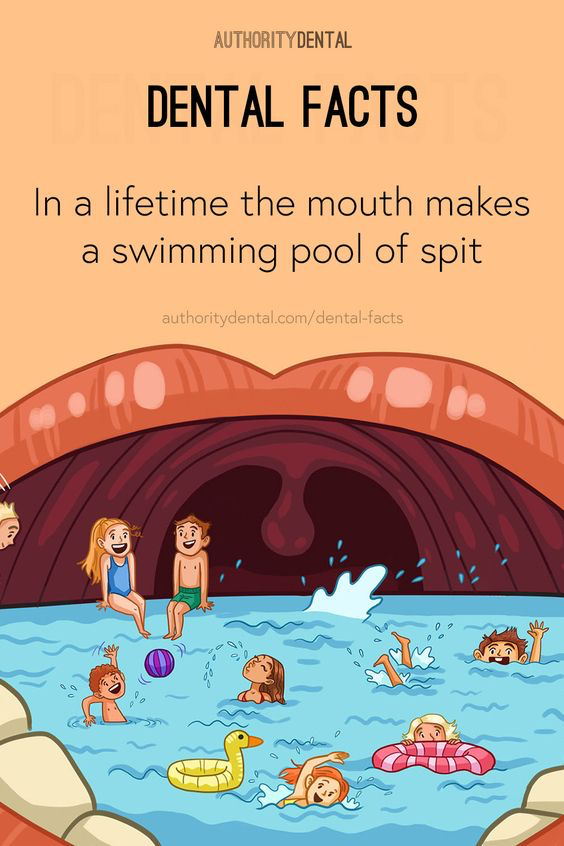 Dental Facts: In a lifetime the mouth makes a swimming pool of spit