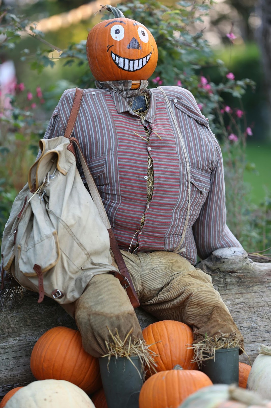 A homemade scarecrow using an old flannel shirt stuffed with hay and a pumpkin for a head