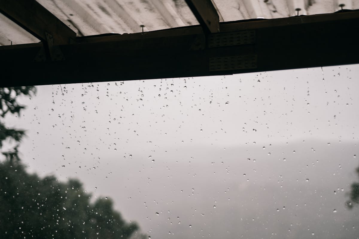 rain drops from a roof