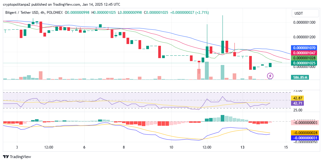 BRISE/美元圖表。圖片來源：TradingView