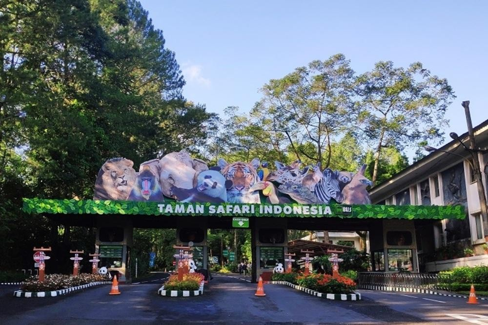 Explore Top Family-Friendly Destinations in Jabodetabek, taman safari