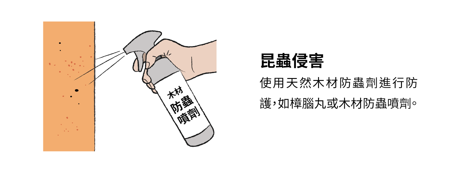 昆蟲侵害
