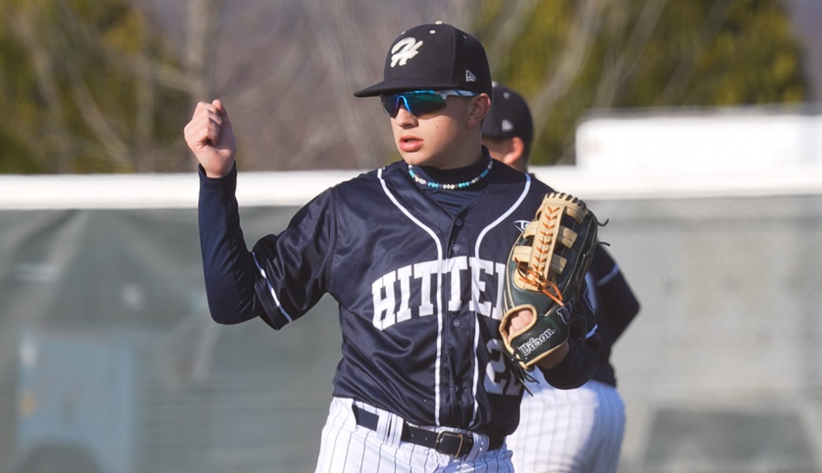 Hitters baseball player looking to the left 