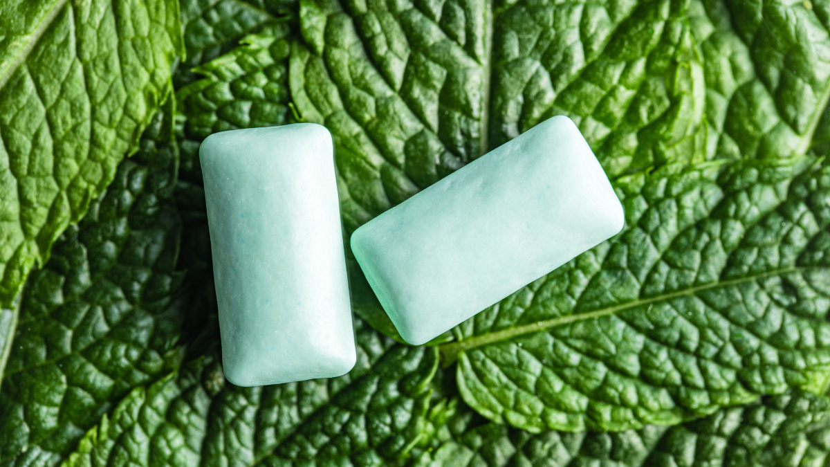 Mint Chews Have Either Gum Base Or Gelatin In Their Ingredients