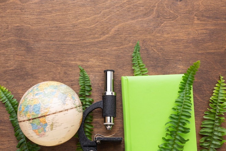 Eco-Friendly Travel Destinations for 2025