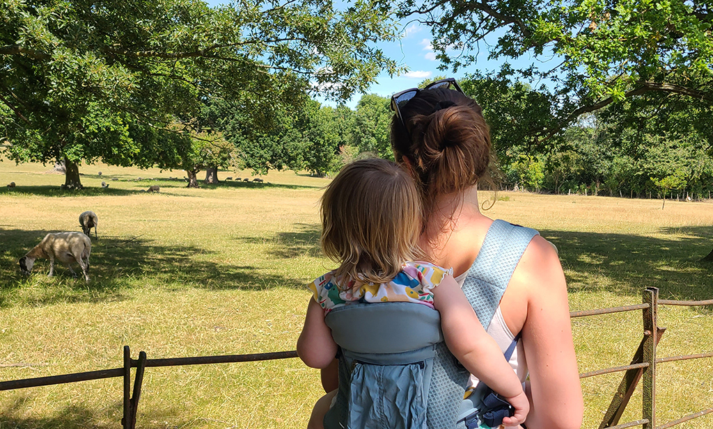 Back carry Ergobaby Omni Breeze 