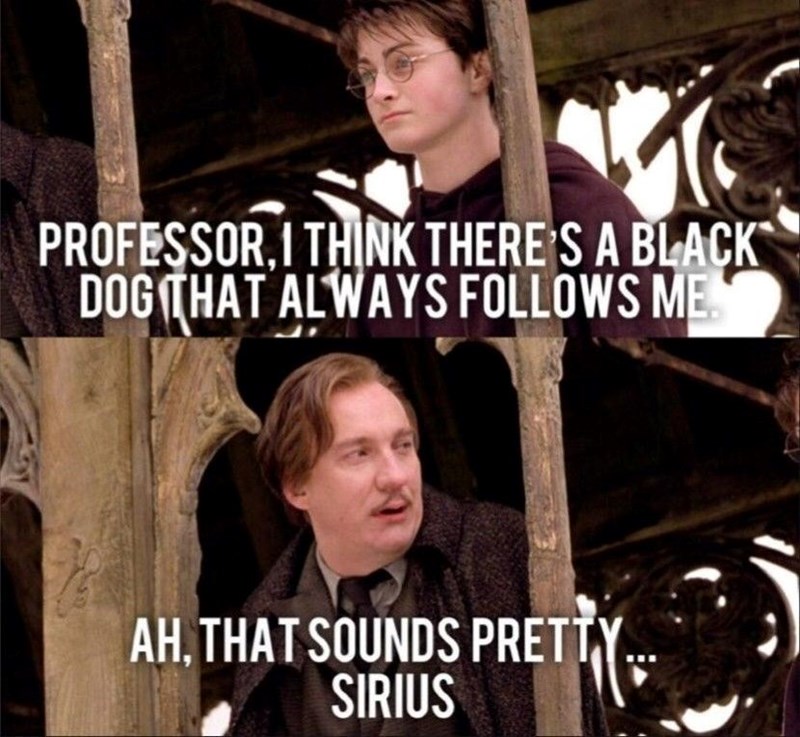 PROFESSOR, I THINK THERE'S A BLACK DOG THAT ALWAYS FOLLOWS ME AH. THAT SOUNDS PRETTY... RETTY SIRIUS