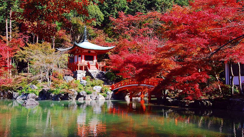 醍醐寺