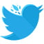 logo tweetcyborg