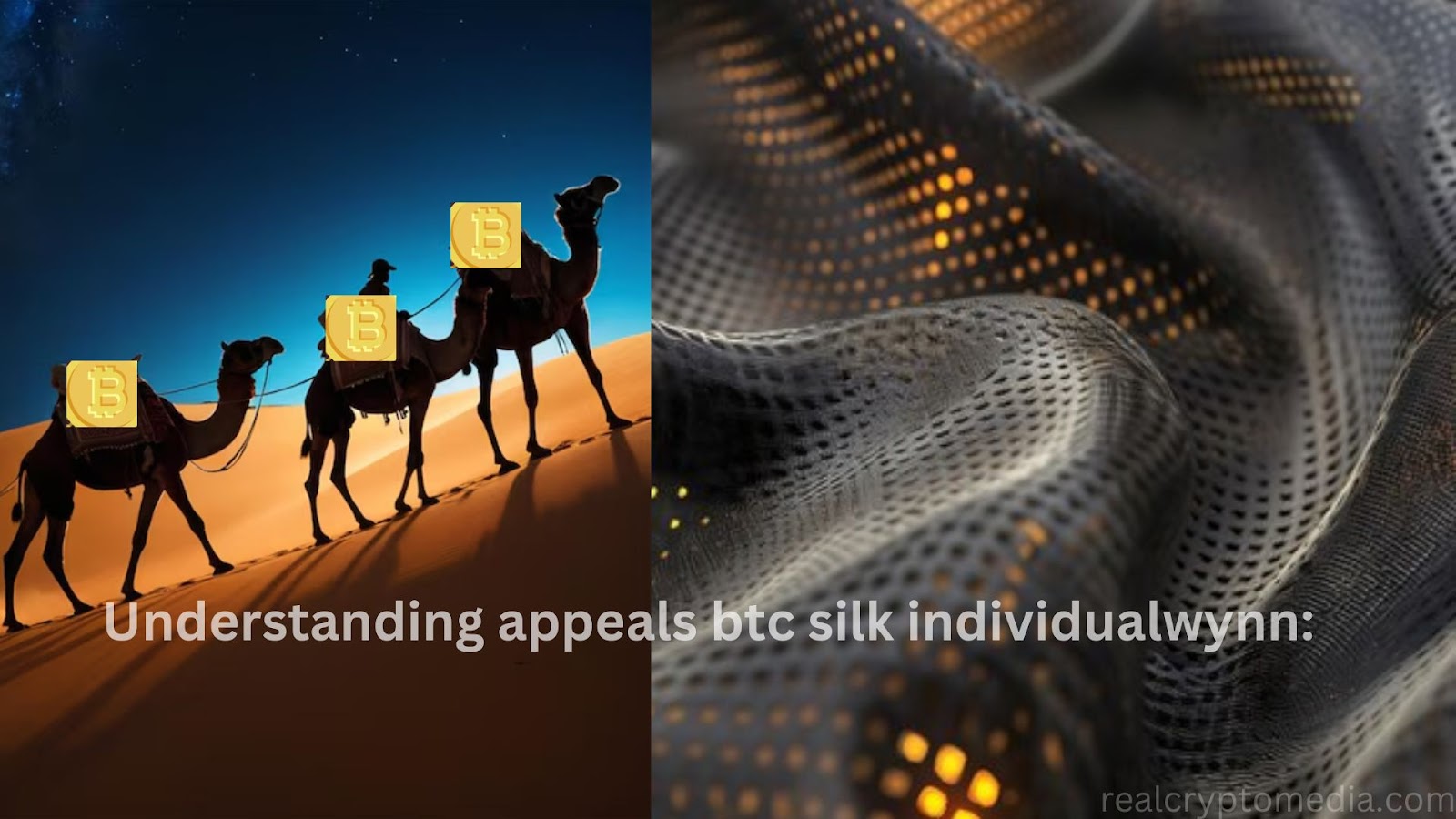 appeals BTC silk individualwynn