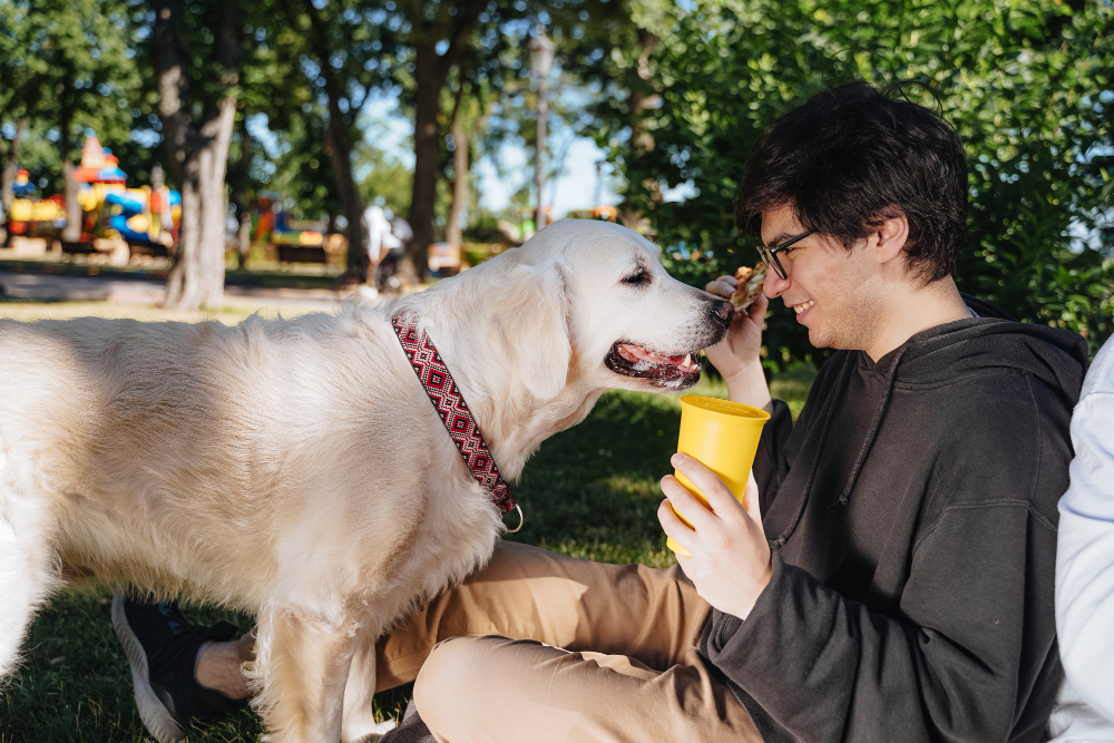 A man bonding with his dog in a park