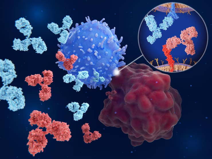 How To Choose The Best Secondary Antibody For Your Application?